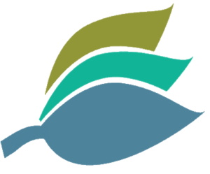 tek yaprak png esteport